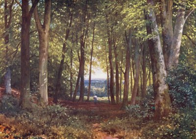 Bosco di Deer-Leap, Wotton da Harold Sutton Palmer