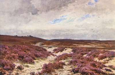 Frensham Common da Harold Sutton Palmer