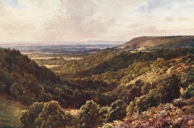 Dalle colline sopra Peaslake, vicino a Gomshall da Harold Sutton Palmer