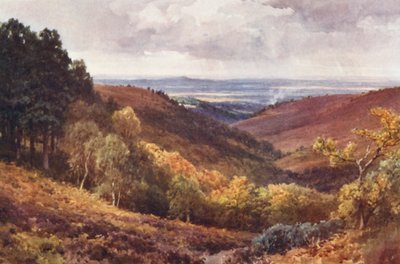 Hindhead, The Punchbowl, guardando a nord da Harold Sutton Palmer