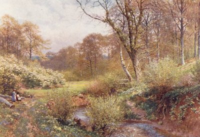 Nei boschi di primavera, Ockley (litografia a colori) da Harold Sutton Palmer