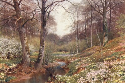 Fiori di Primavera, vicino a Dorking da Harold Sutton Palmer