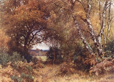 Il bordo di un bosco, Royal Common da Harold Sutton Palmer