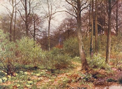 La Capanna del Guardiacaccia da Harold Sutton Palmer