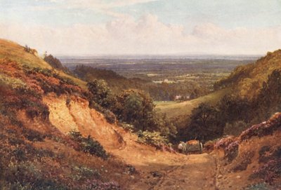 La Cava di Ghiaia, sopra Gomshall da Harold Sutton Palmer