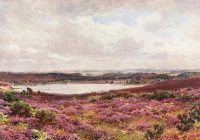 Il grande stagno, Frensham da Harold Sutton Palmer