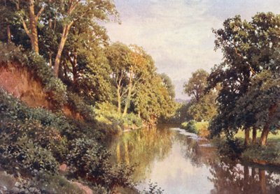Il Fiume Mole, vicino a Dorking da Harold Sutton Palmer