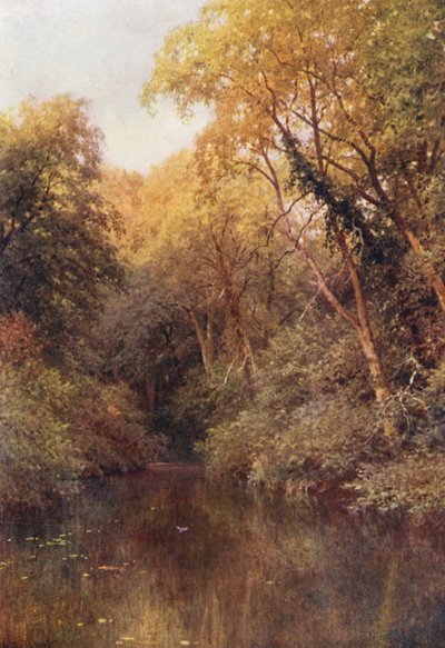 La Piscina Silenziosa, Albury da Harold Sutton Palmer