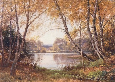 Il margine dello stagno, Royal Common da Harold Sutton Palmer