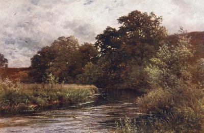 Il Wey a Hankley Common, vicino a Tilford da Harold Sutton Palmer