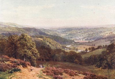 Valle di Albury, da St Martha