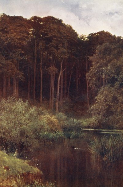 Profondità del bosco, Wotton da Harold Sutton Palmer