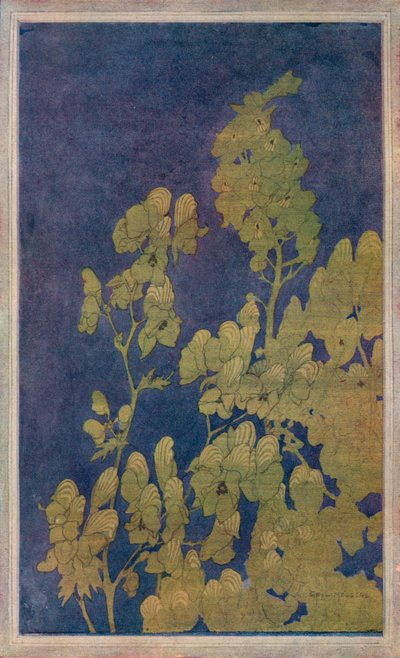 Aconito, c1922 da Harriet Sibyl Meugen