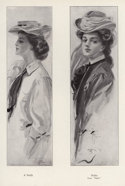 Il personaggio Nedra dal romanzo Nedra, di George Barr McCutcheon da Harrison Fisher