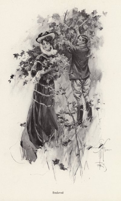 Donna che raccoglie fiori con un ammiratore maschile da Harrison Fisher