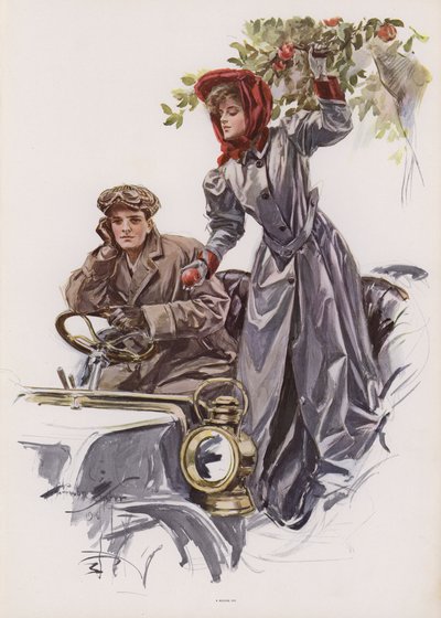 Giovane donna che raccoglie mele da un