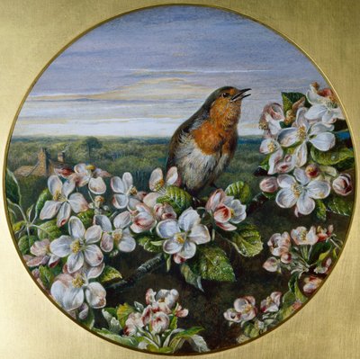Un pettirosso tra i fiori da Harrison William Weir