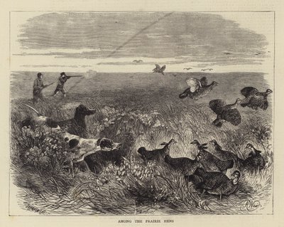 Tra le galline della prateria da Harrison William Weir