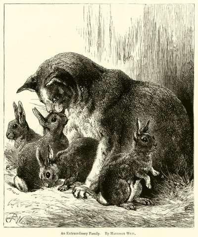 Una famiglia straordinaria da Harrison William Weir