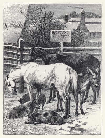 Animali nel recinto da Harrison William Weir