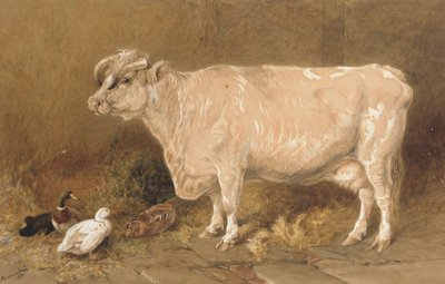 Mucca con anatre in un fienile da Harrison William Weir