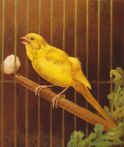 Dickie Bird da Harrison William Weir
