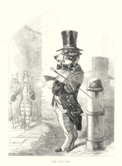 Cani divertenti: il cane veloce (incisione) da Harrison William Weir