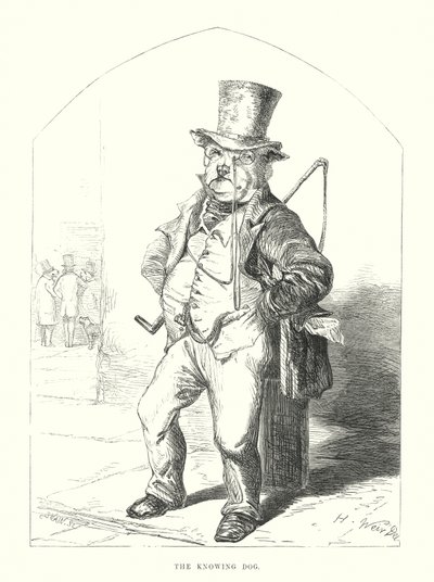 Cani divertenti: il cane saputello (incisione) da Harrison William Weir