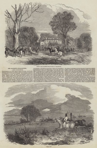 I cani da caccia di Sua Maestà a Hillingdon da Harrison William Weir
