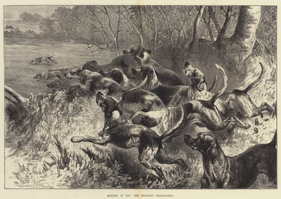 Colpendo nel segno, i Mid-Kent Staghounds da Harrison William Weir