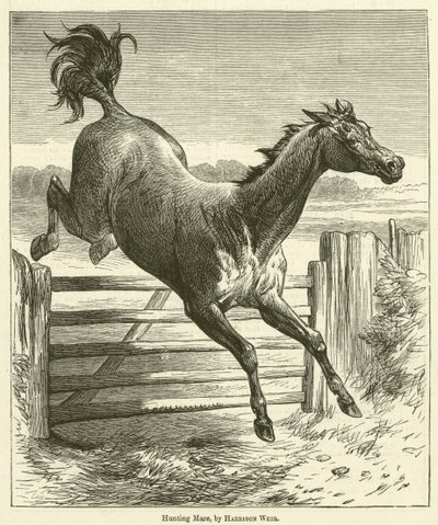 Cavalla da Caccia da Harrison William Weir