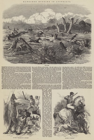 Caccia al canguro in Australia da Harrison William Weir