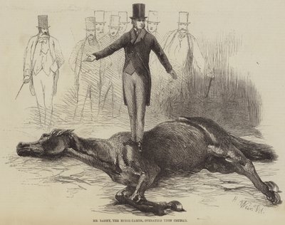 Mr Rarey, il domatore di cavalli, che opera su Cruiser da Harrison William Weir