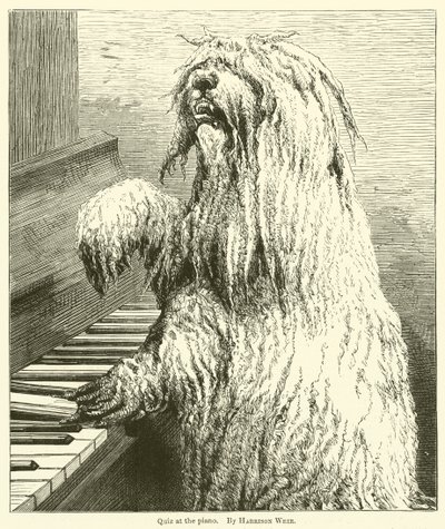 Quiz al pianoforte da Harrison William Weir