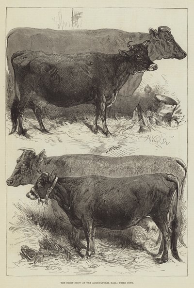 La mostra lattiero-casearia all