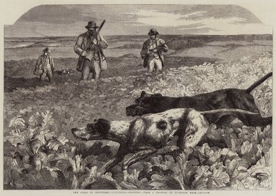 Il primo di settembre, caccia alla pernice da Harrison William Weir