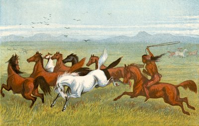 Il Cavallo - 
