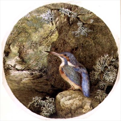 Il rifugio del martin pescatore da Harrison William Weir