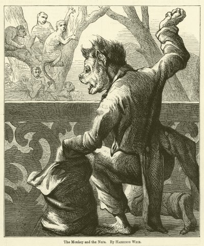 La Scimmia e le Noci da Harrison William Weir