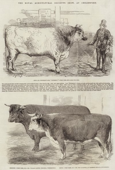 Mostra della Royal Agricultural Society, a Chelmsford da Harrison William Weir