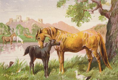 Il castello in rovina da Harrison William Weir
