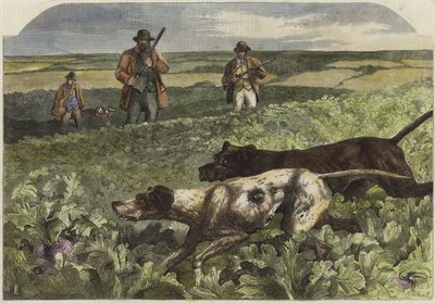 Il primo di settembre da Harrison William Weir