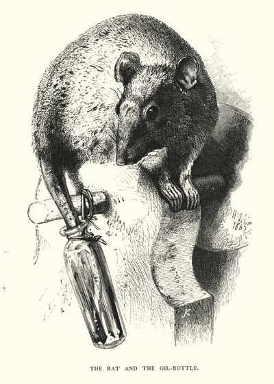Il topo e la bottiglia d