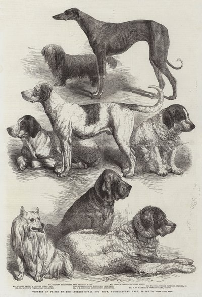 Vincitori di premi alla Mostra Internazionale del Cane, Agricultural Hall, Islington da Harrison William Weir