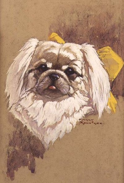 Regina delle nevi da Harry Rountree
