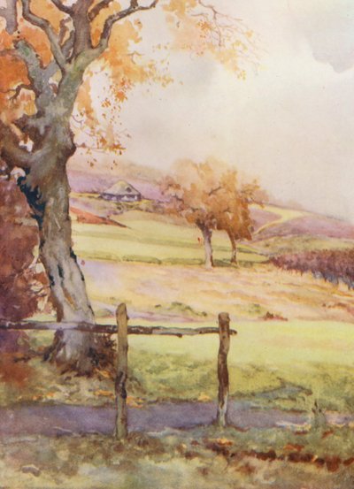 Campi da golf: Broadstone, la quarta buca da Harry (1878 1950) Rountree
