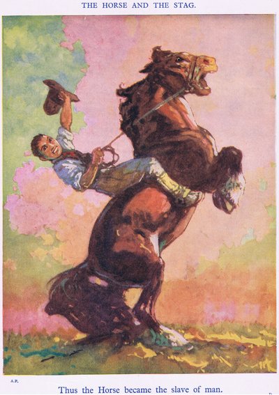 Così il cavallo divenne schiavo dell