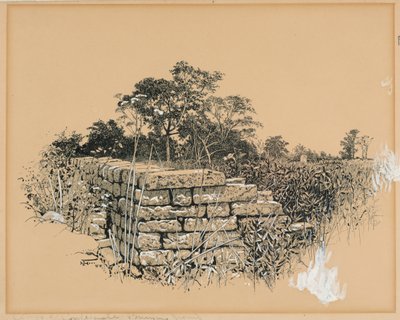 Angolo del cimitero confederato da Harry Fenn