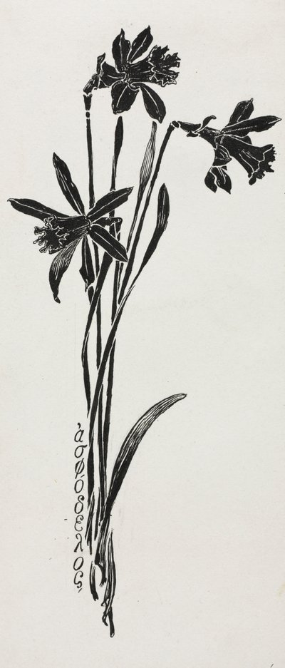 Narcisi da Harry Fenn