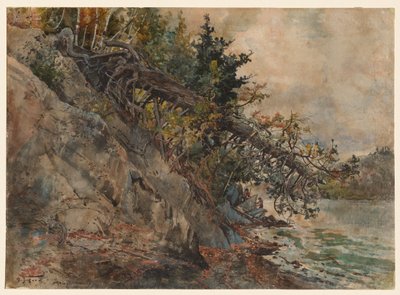 Lago Memphremagog, c. 1880s da Harry Fenn